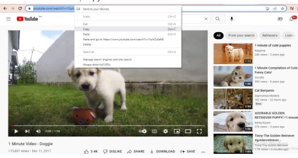 copier un lien dans youtube video maker