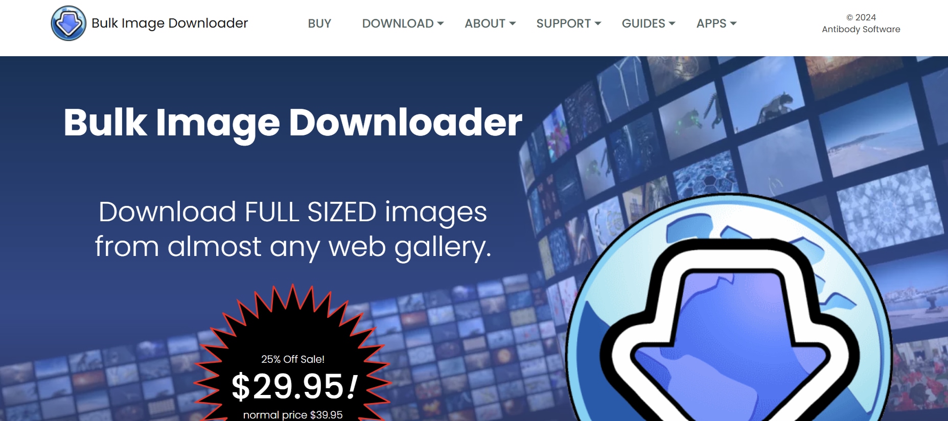 bulk image downloader homepage