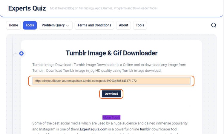2023] How to Download GIFs and Images From Tumblr