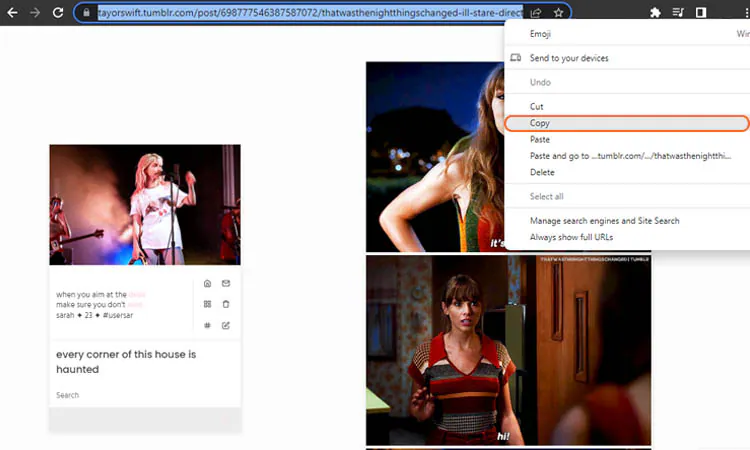 2 Quick Ways to Download/Save GIFs from Tumblr[2023]