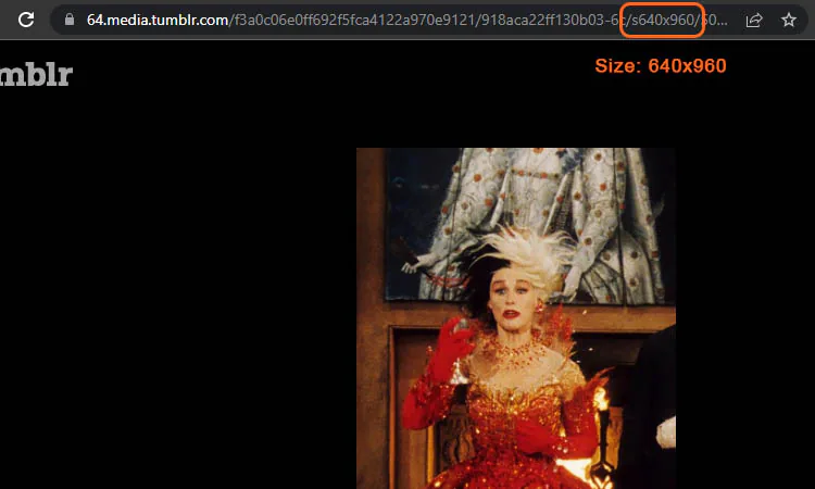 tumblr image with size 640x960 on the downloader
