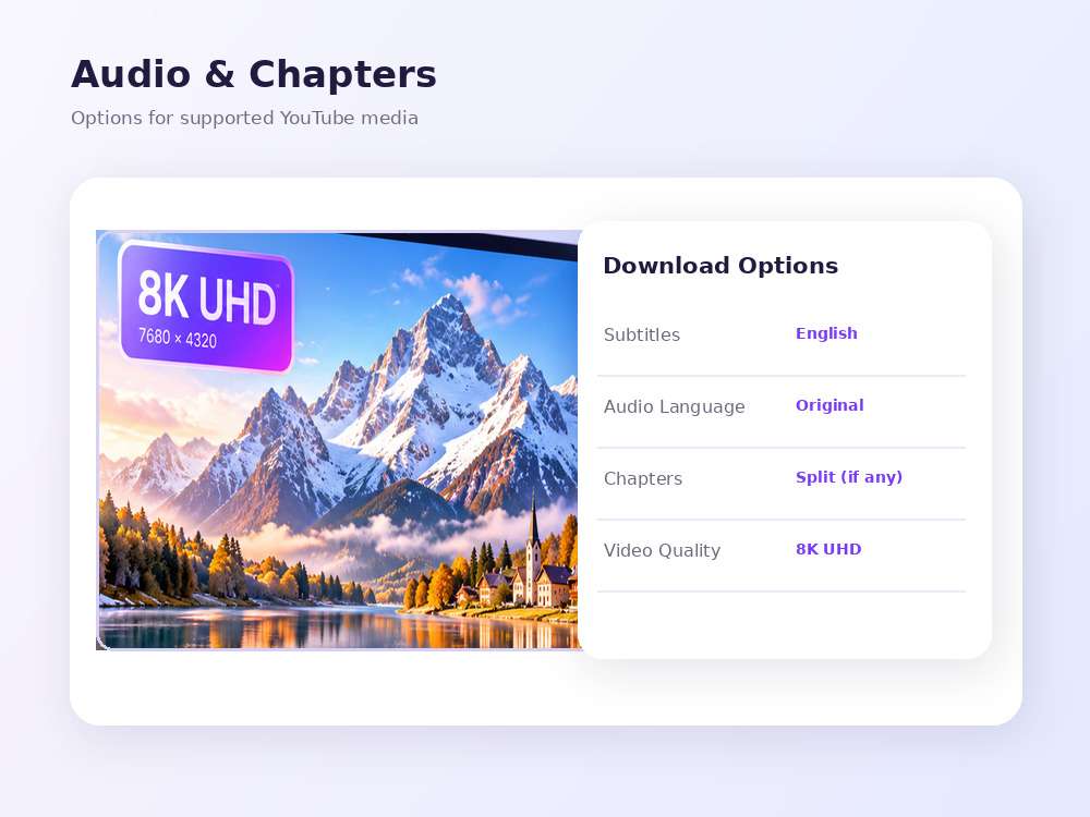 Available subtitle languages and YouTube chapter options in video downloader