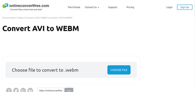 converti AVI a WebM Onlineconvertfree
