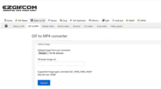 8 Best Online GIF to MP4 Converters