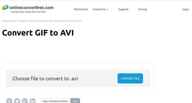converti GIF in AVI con Online Converter Free