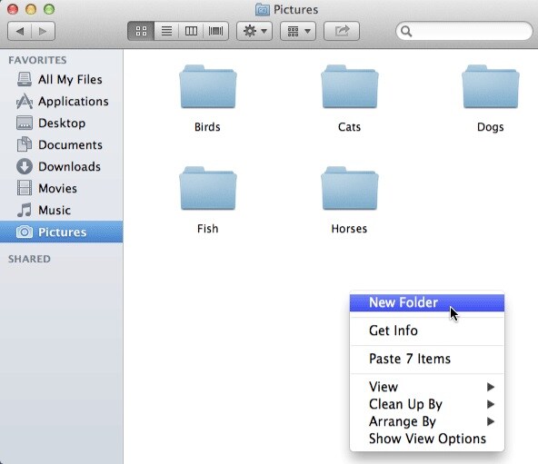 new folder on Mac