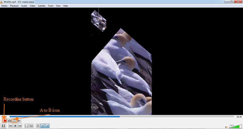 trim video with vlc