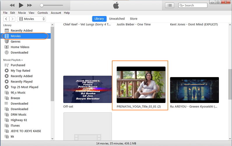 sync DVD video to iPad via iTunes