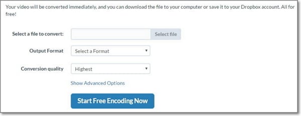 online flv converter-free encoding