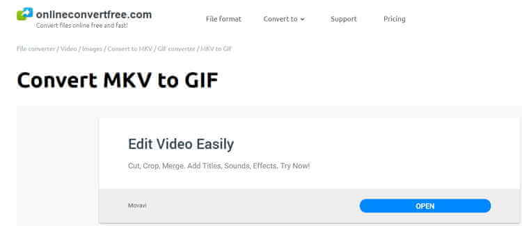 MKV to GIF Online Converter-Onlineconvertfree