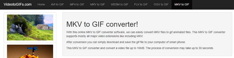 MKV to GIF Online Converter-VideotoGIFs
