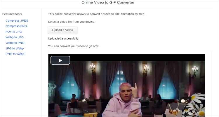 GIF Maker – Convert  Video to Animated GIF 