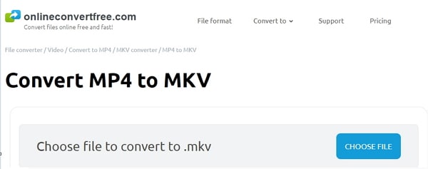 convert MP4 to MKV by Free Online MP4 to MKV Converter