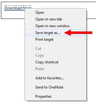 save quicktime mp3 with IE