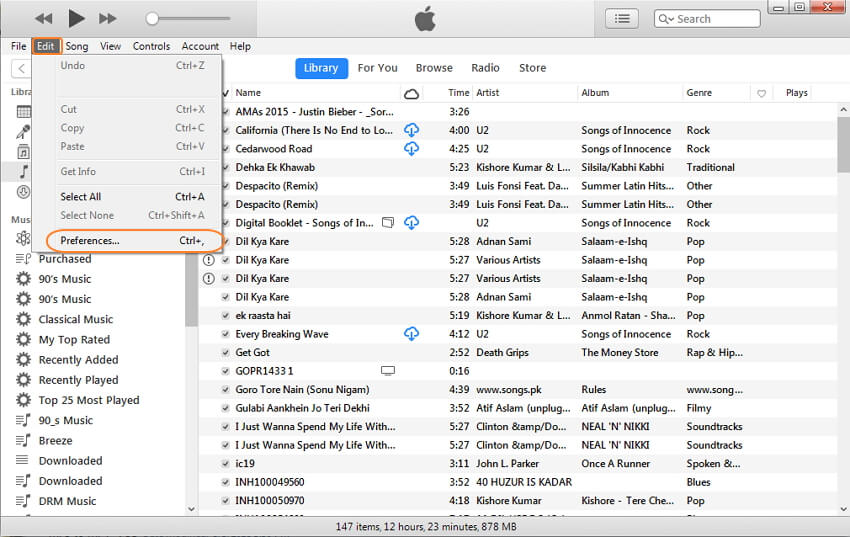 set iTunes preferences settings