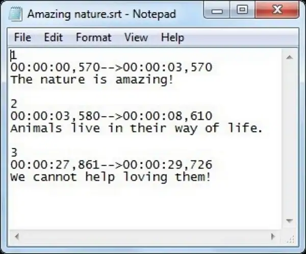 srt file from text editor mac