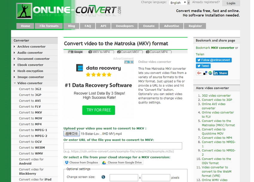 Convert MP4 to MKV online