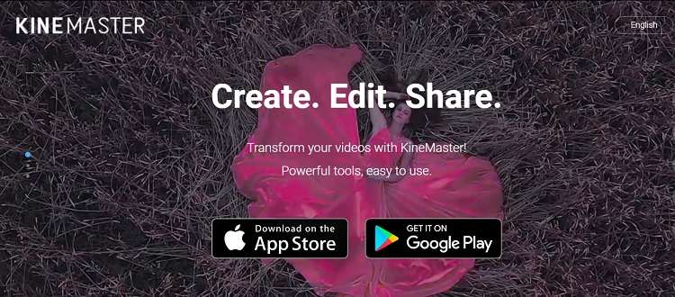 remove audio from video in KineMaster
