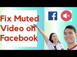 solve facebook muted my video