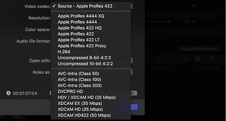 choose output video codec