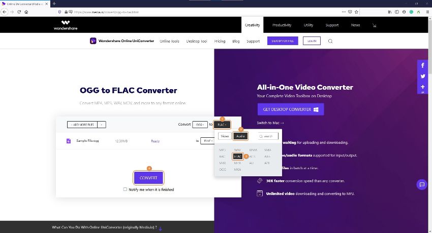 kostenloser Online FLAC Audio Converter - Ausgabeformat als FLAC wählen