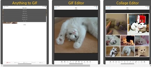 application gif toaster