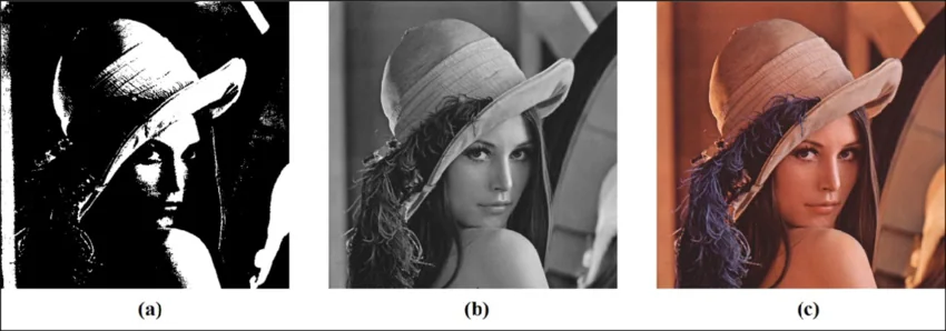 type of grayscale image