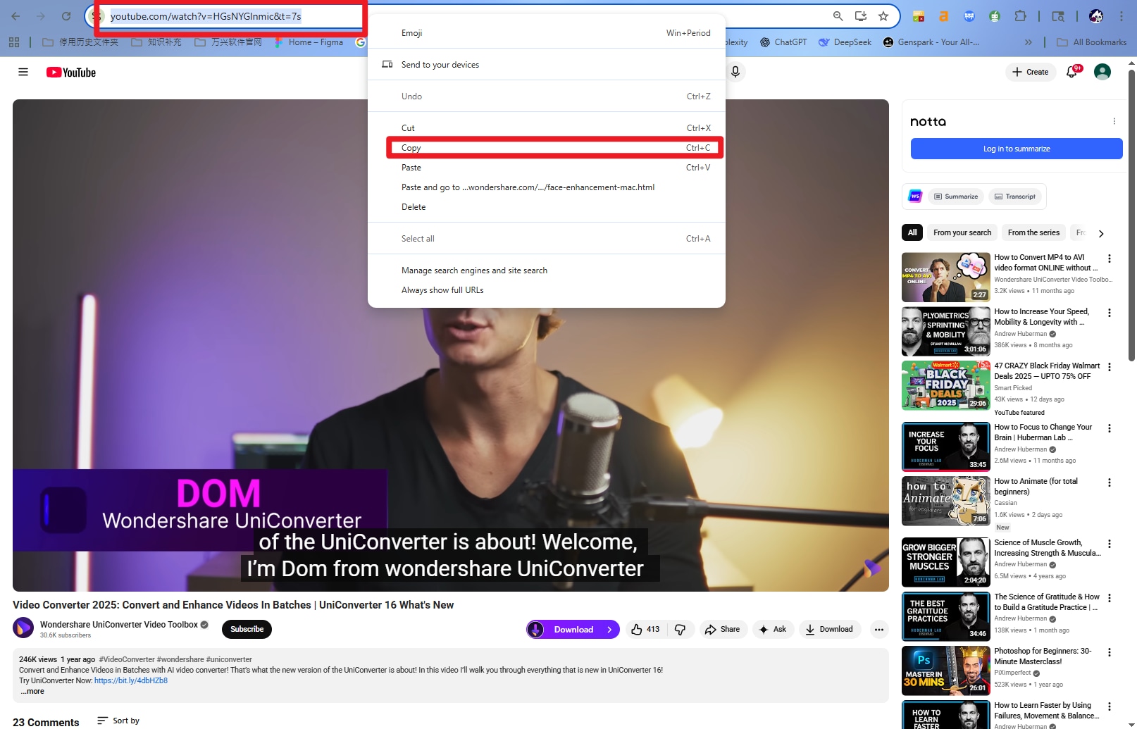 how to download online video