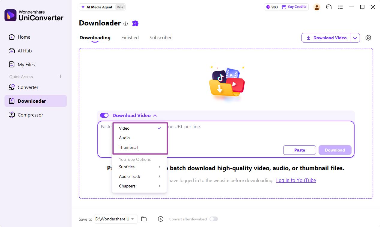 Seleccionar las opciones de descarga de vídeo, audio o miniaturas