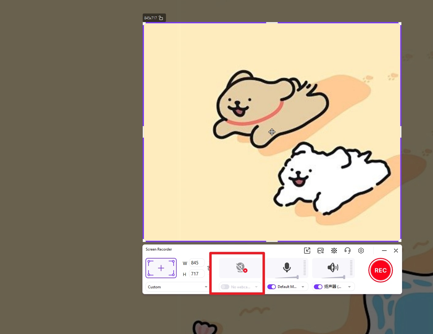 set audio preference