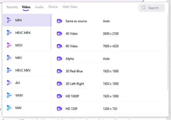 video conversion format