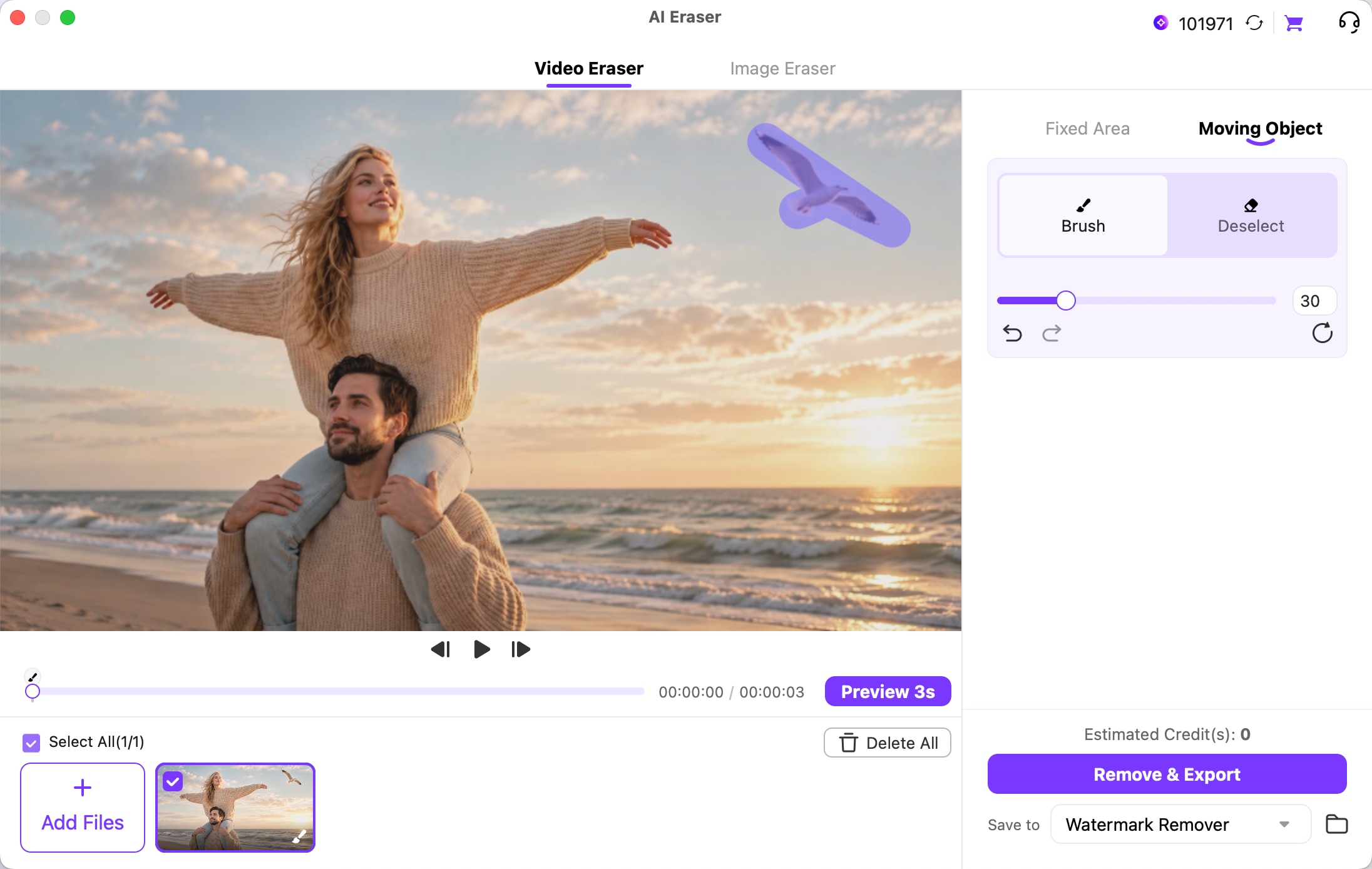 Use Brush and Deselect tools to mark an unwanted moving object in a video