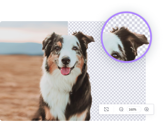 Zoom to erase image background in details