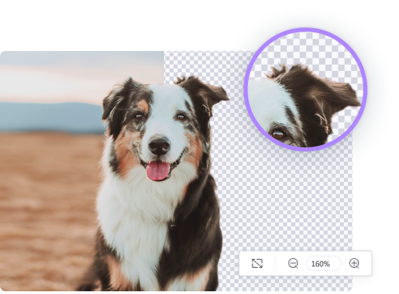 Bulk Remove Background from Images Quickly