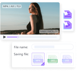 multiple video and subtitle formats