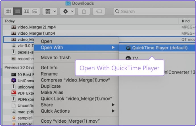Launch the video across QuickTime