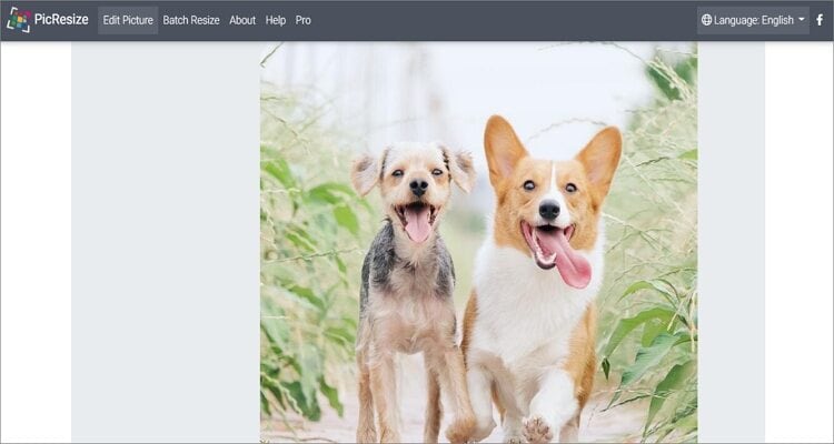 Crop a Picture on Mac for Free - ResizeImage