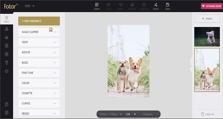 Crop a Picture on Mac for Free - Fotor
