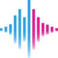 Logo der all in one voice software