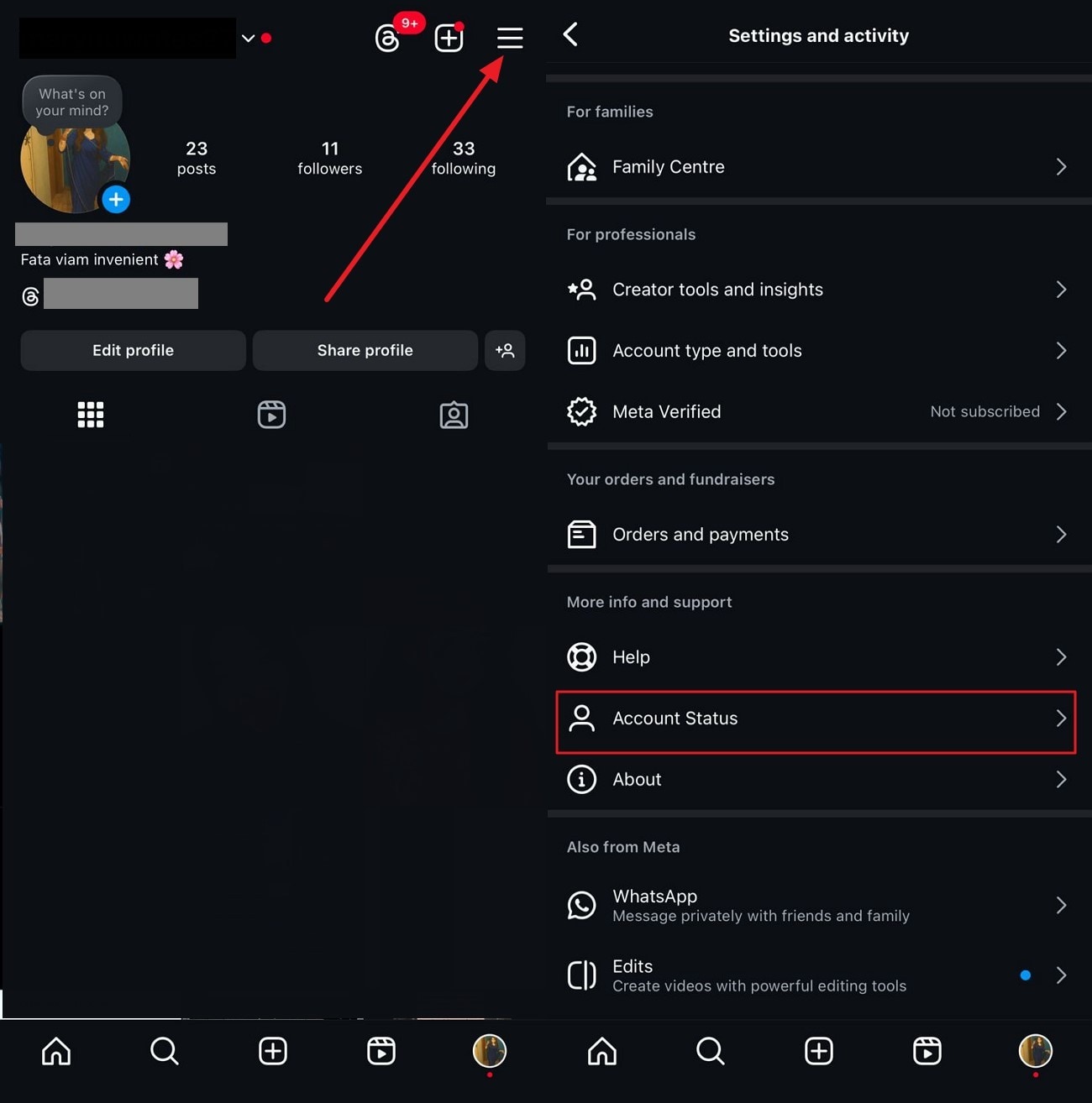 navigate instagram account status