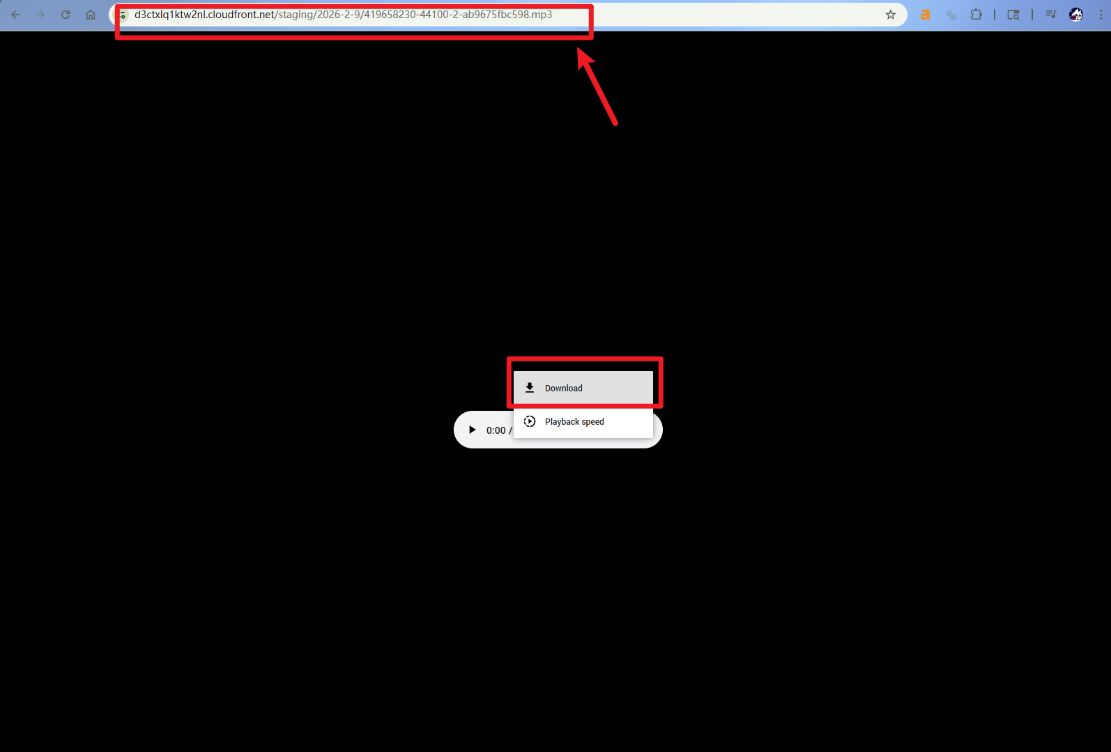 Download the MP3 File