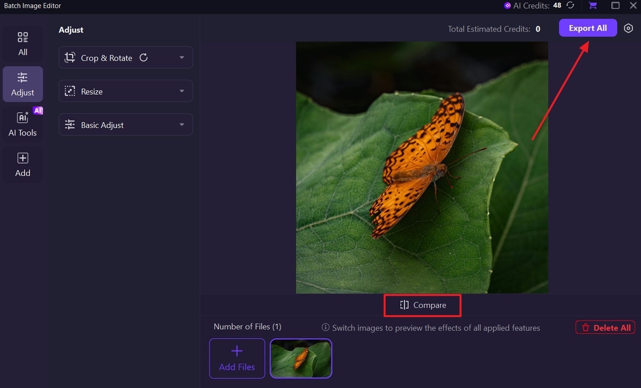 compare and export fill the frame photography