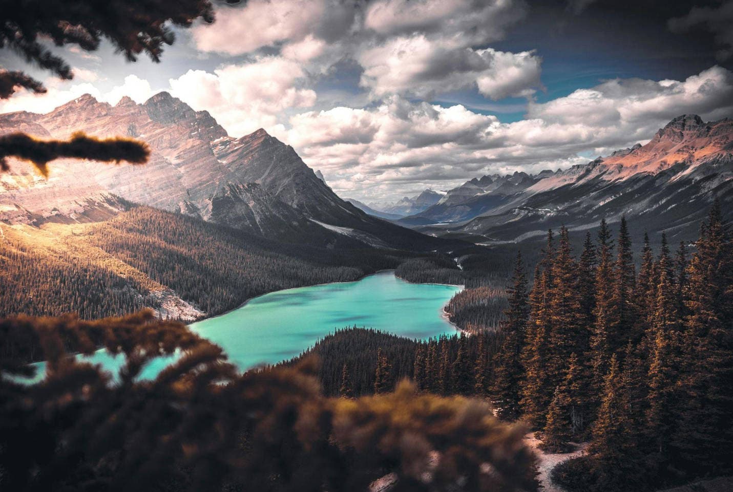 best 10 wallpaper websites
