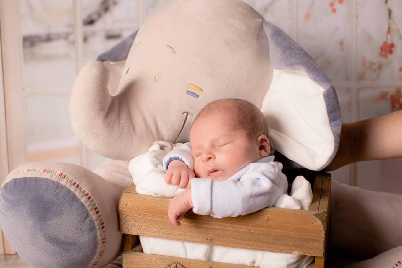 baby photograph
