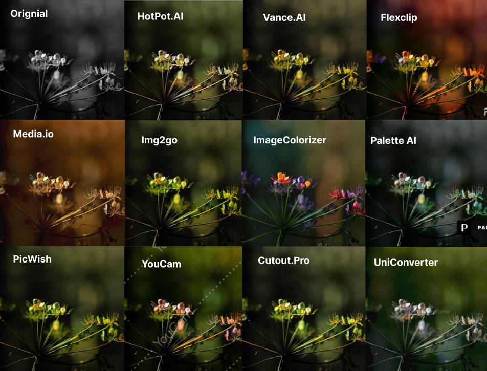 best online photo colorizer