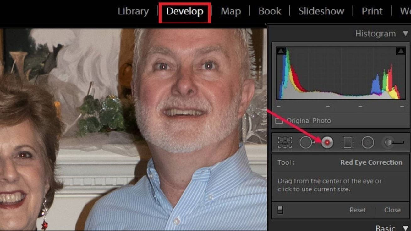 Import the image 