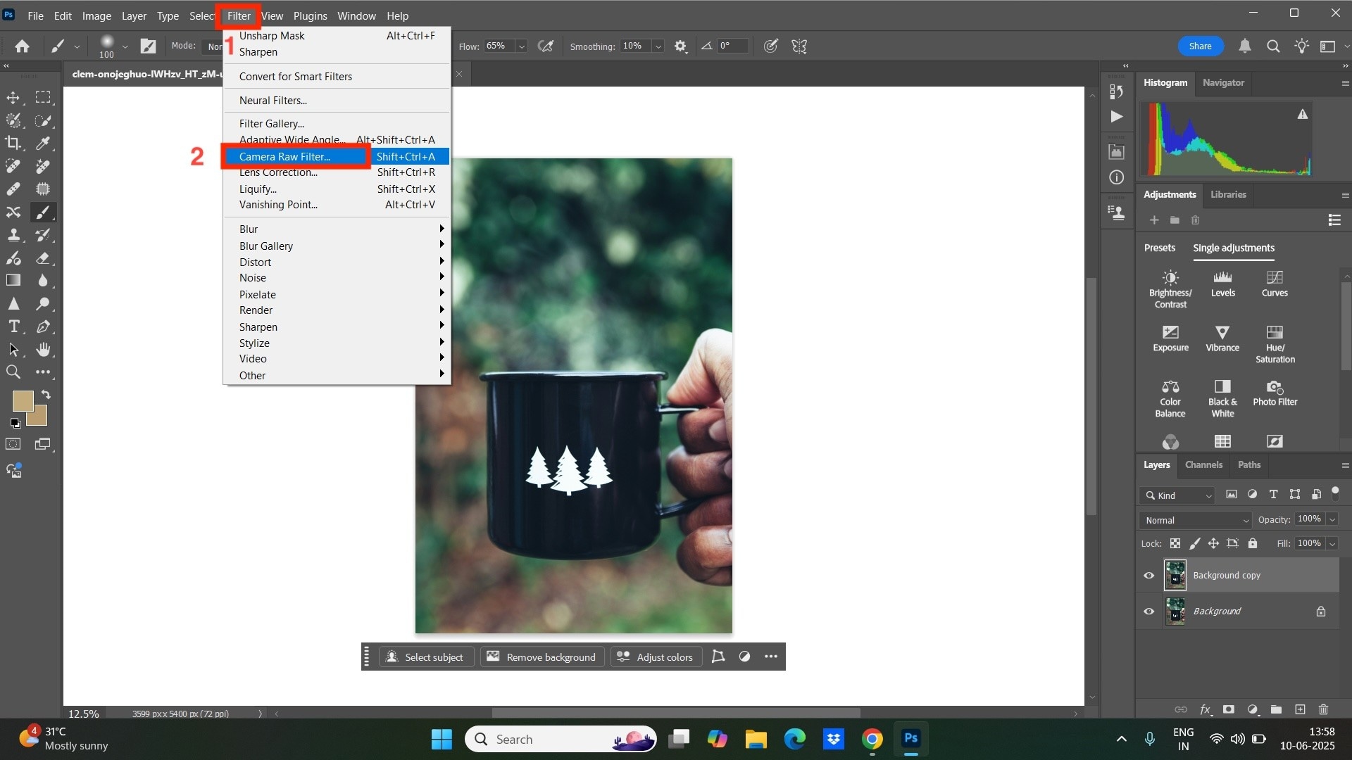 photoshop camera raw filter
