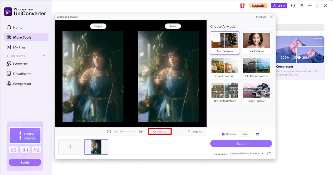 preview the image