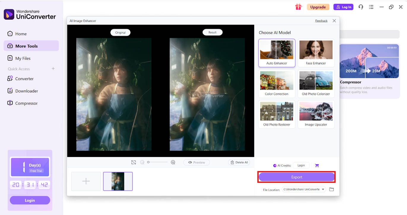 export the image