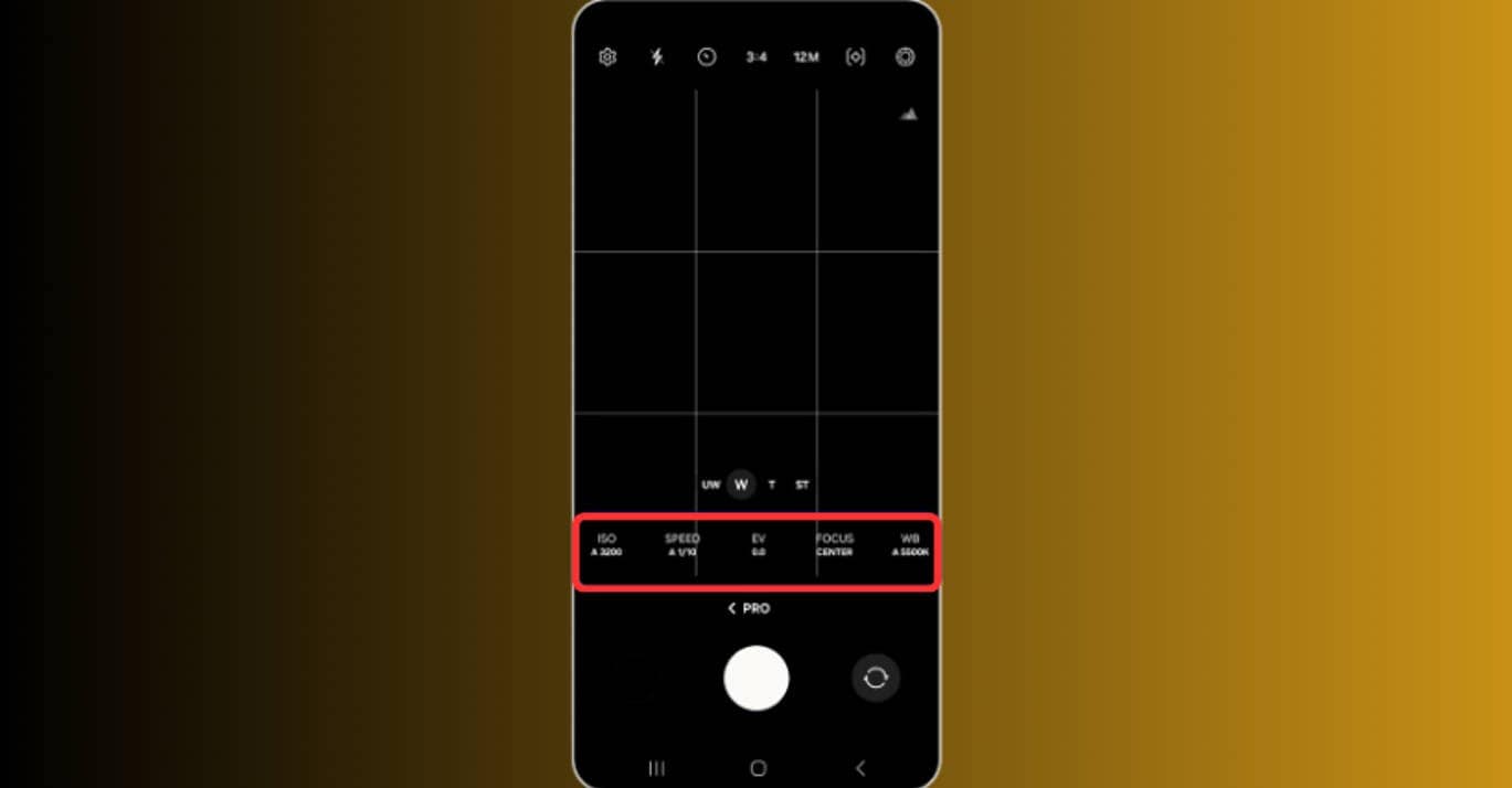 options available in pro mode